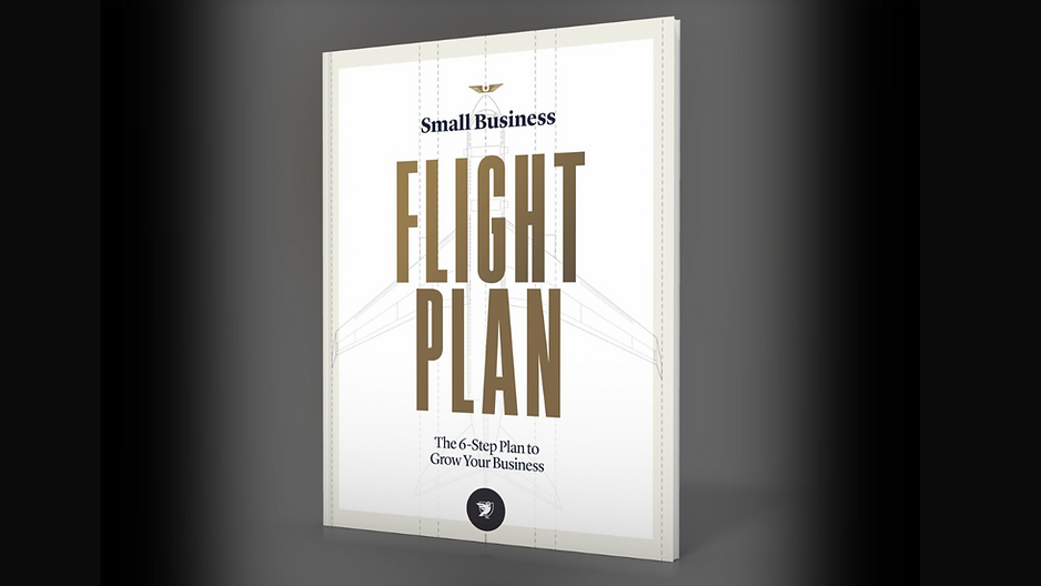 Small Business Fight Plan