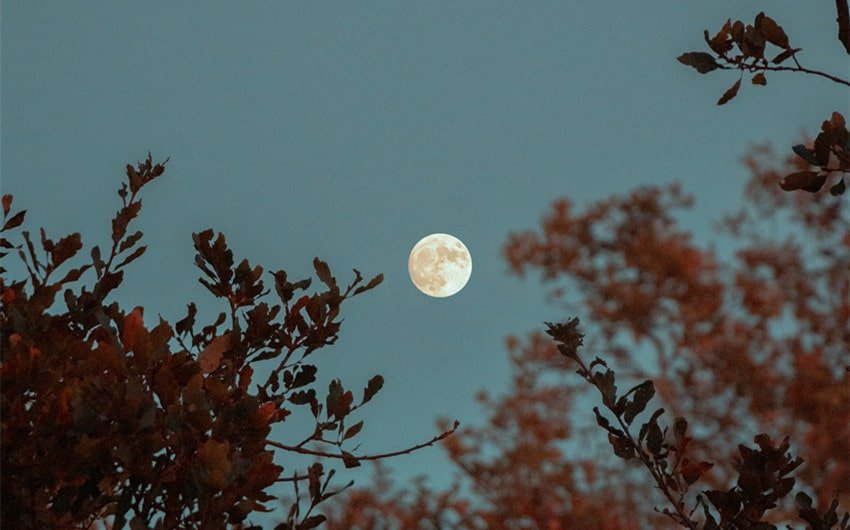 Japanese Names Meaning Moon